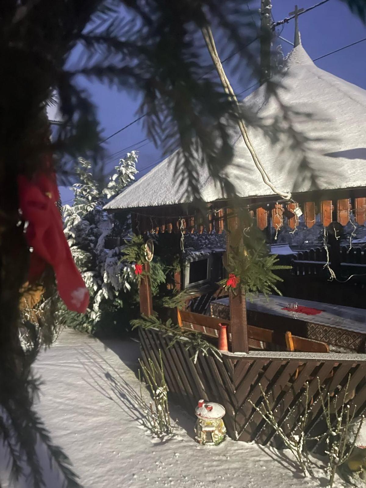 Hotel Casa Ionela Petreus Poienile Izei Exteriér fotografie