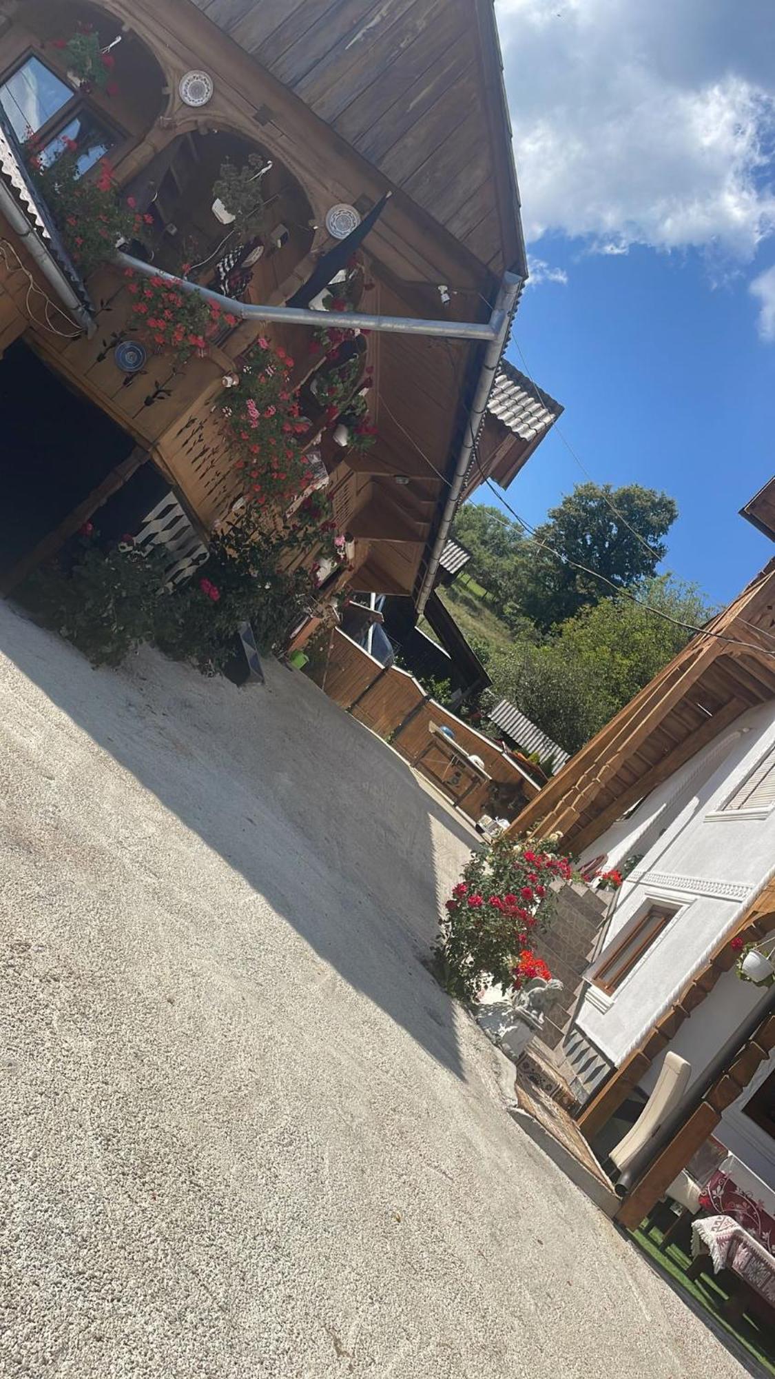 Hotel Casa Ionela Petreus Poienile Izei Exteriér fotografie