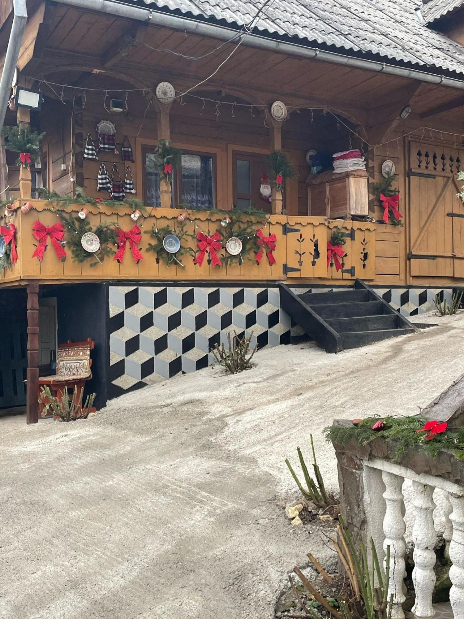 Hotel Casa Ionela Petreus Poienile Izei Exteriér fotografie