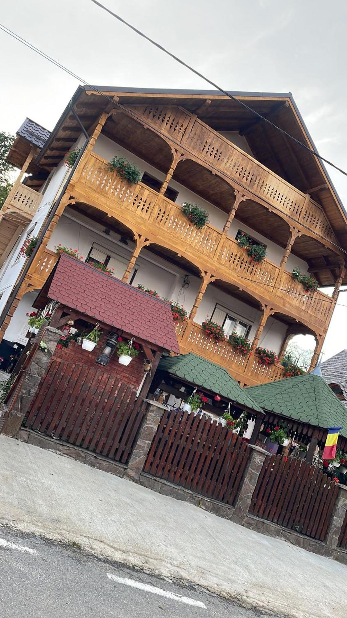 Hotel Casa Ionela Petreus Poienile Izei Exteriér fotografie