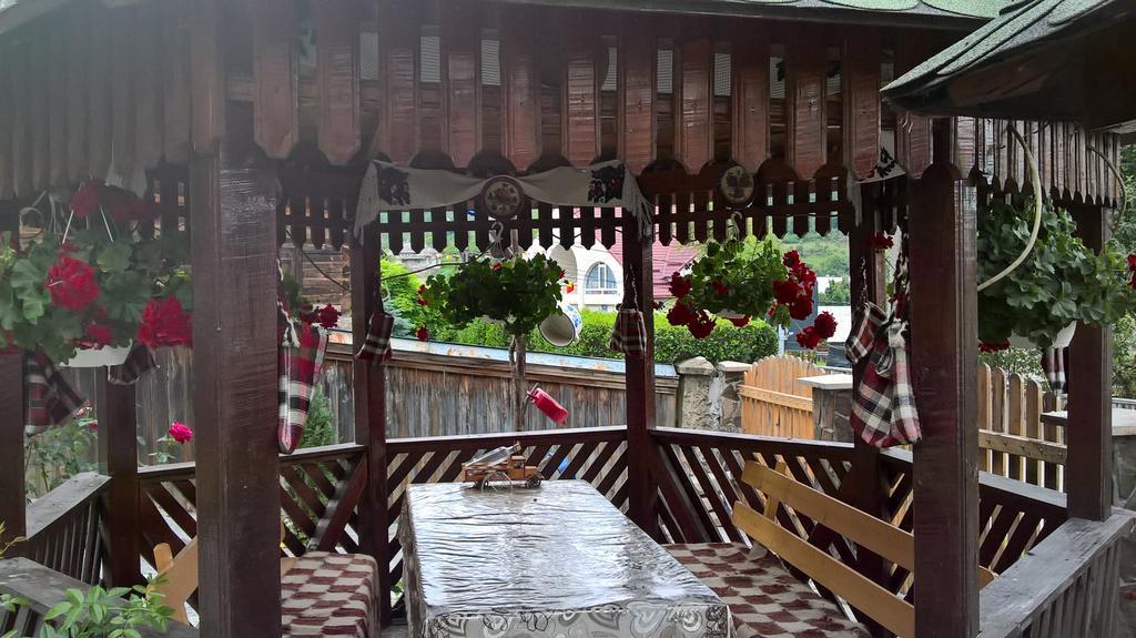 Hotel Casa Ionela Petreus Poienile Izei Exteriér fotografie
