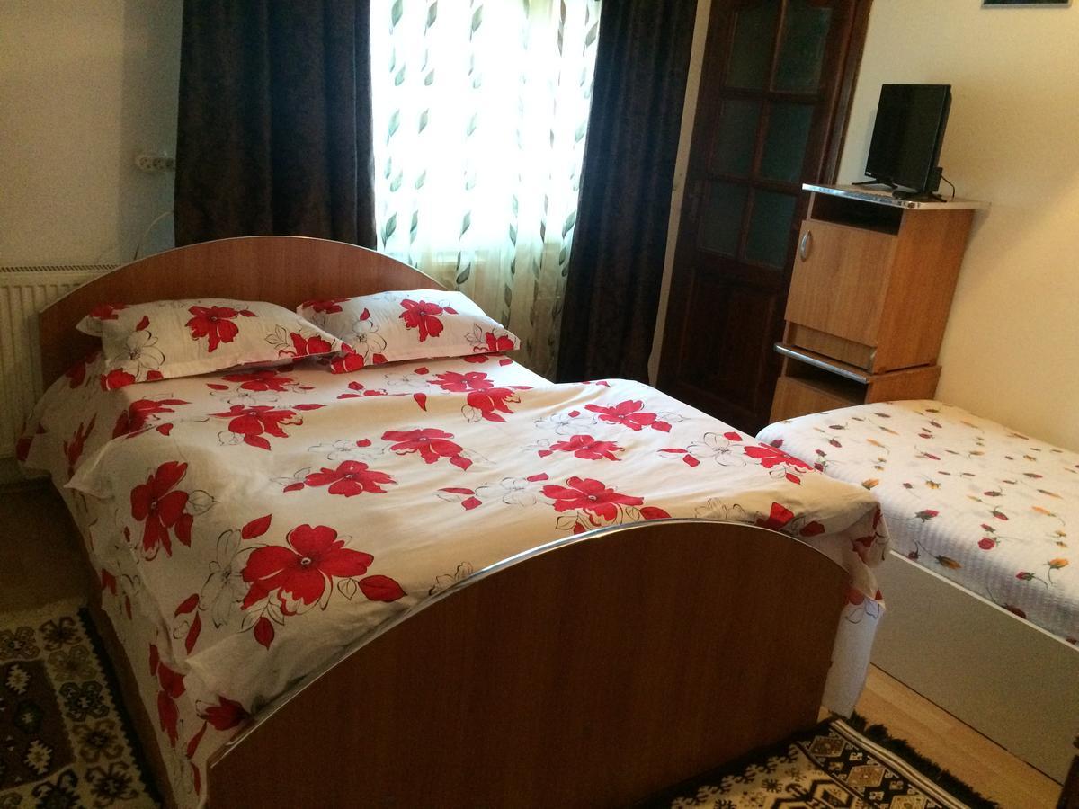 Hotel Casa Ionela Petreus Poienile Izei Exteriér fotografie