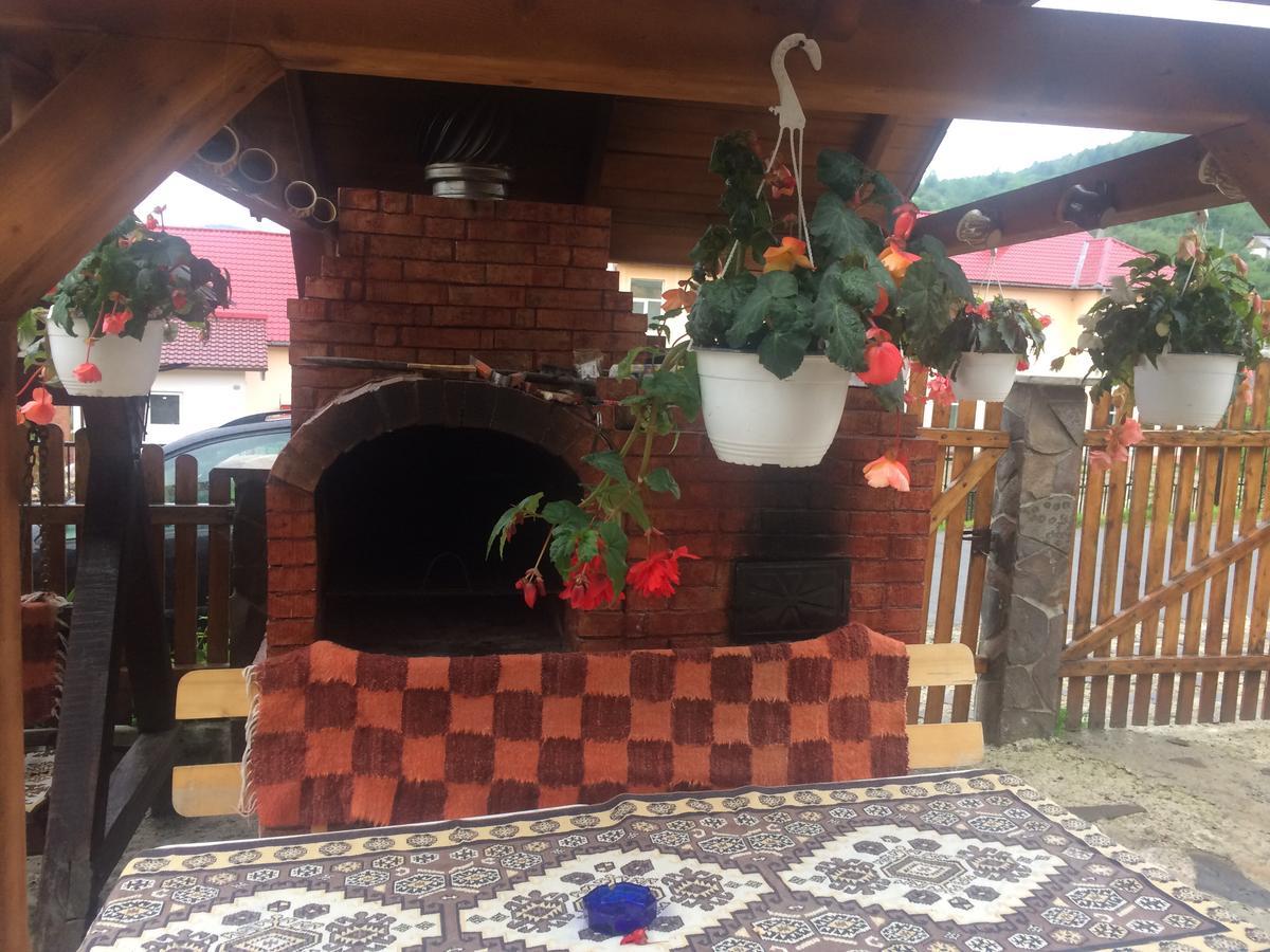 Hotel Casa Ionela Petreus Poienile Izei Exteriér fotografie